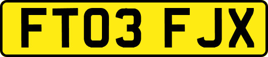 FT03FJX