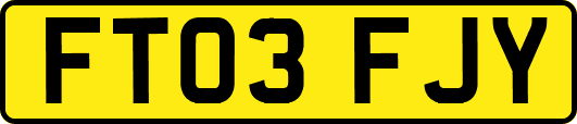 FT03FJY