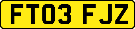 FT03FJZ