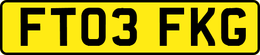 FT03FKG