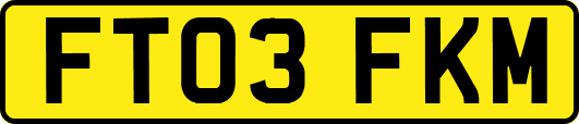 FT03FKM