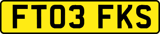 FT03FKS