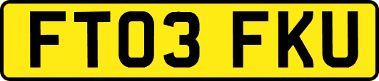 FT03FKU