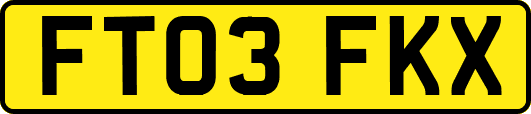 FT03FKX