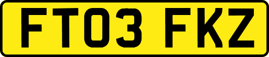 FT03FKZ