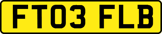 FT03FLB