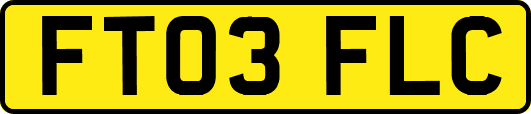 FT03FLC
