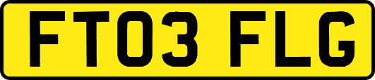 FT03FLG