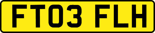 FT03FLH