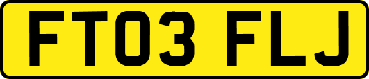 FT03FLJ