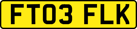 FT03FLK