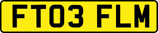 FT03FLM