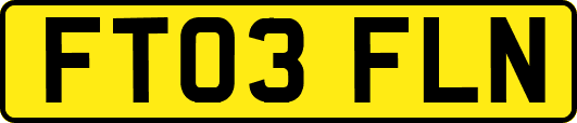 FT03FLN