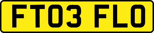 FT03FLO