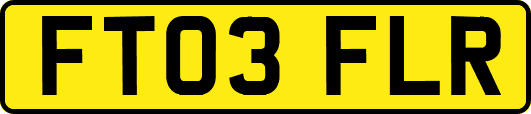 FT03FLR