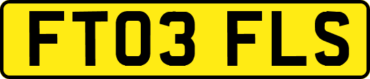 FT03FLS