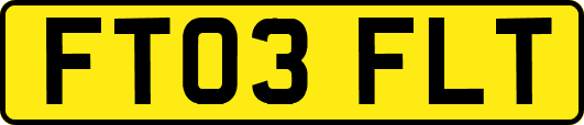 FT03FLT