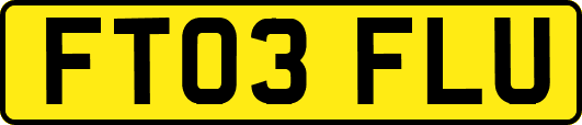 FT03FLU