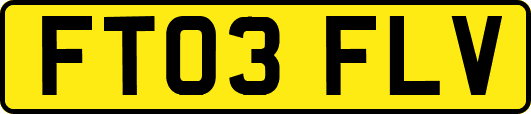 FT03FLV