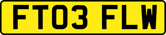 FT03FLW