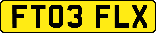 FT03FLX