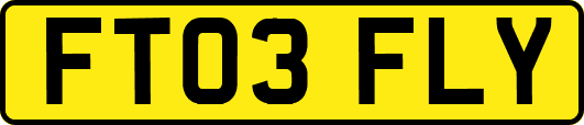 FT03FLY