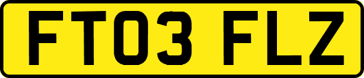 FT03FLZ
