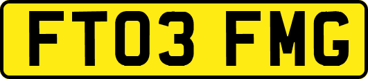 FT03FMG
