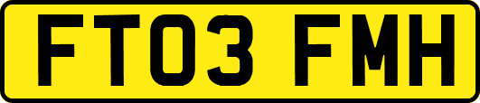 FT03FMH