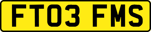 FT03FMS