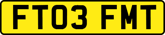 FT03FMT