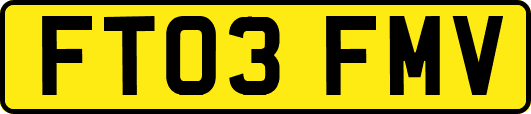 FT03FMV