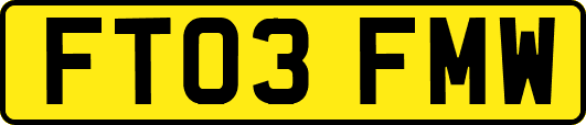 FT03FMW