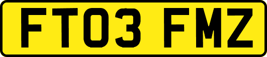 FT03FMZ