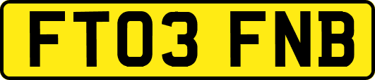 FT03FNB