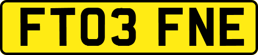 FT03FNE