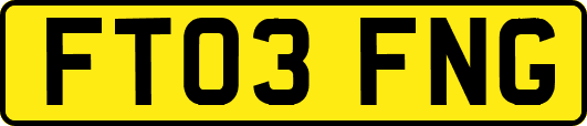 FT03FNG