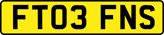FT03FNS