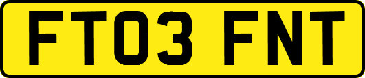 FT03FNT