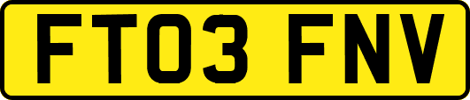 FT03FNV