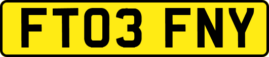 FT03FNY