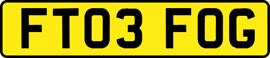 FT03FOG