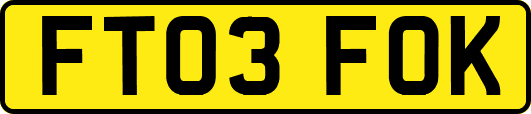 FT03FOK