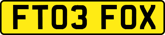 FT03FOX