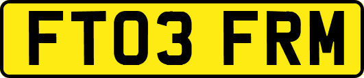 FT03FRM