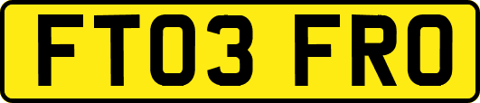 FT03FRO