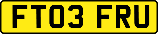 FT03FRU