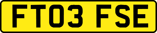 FT03FSE