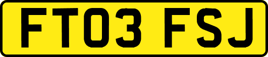 FT03FSJ