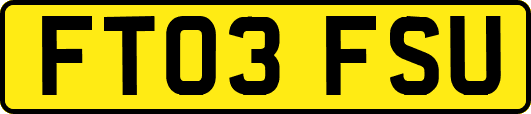 FT03FSU
